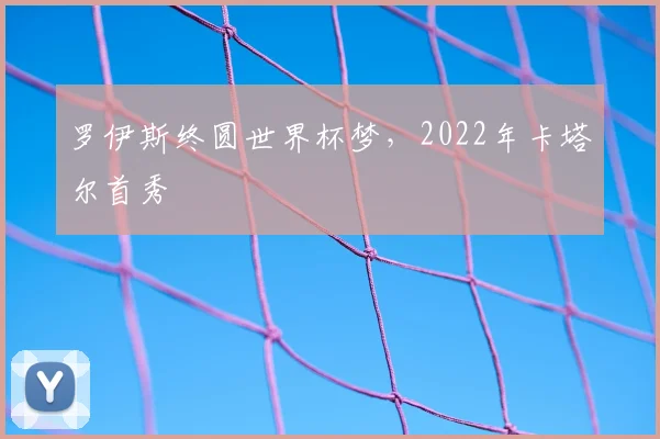 罗伊斯终圆世界杯梦,2022年卡塔尔首秀
